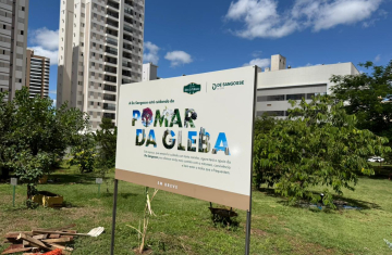 Obras da nova praça “Pomar da Gleba” começam no Alto da Gleba Palhano